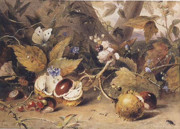 Still-life with horse chestnuts and insects (mk47)